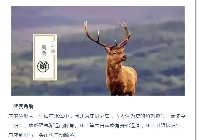 1545448722229375.png blob.png